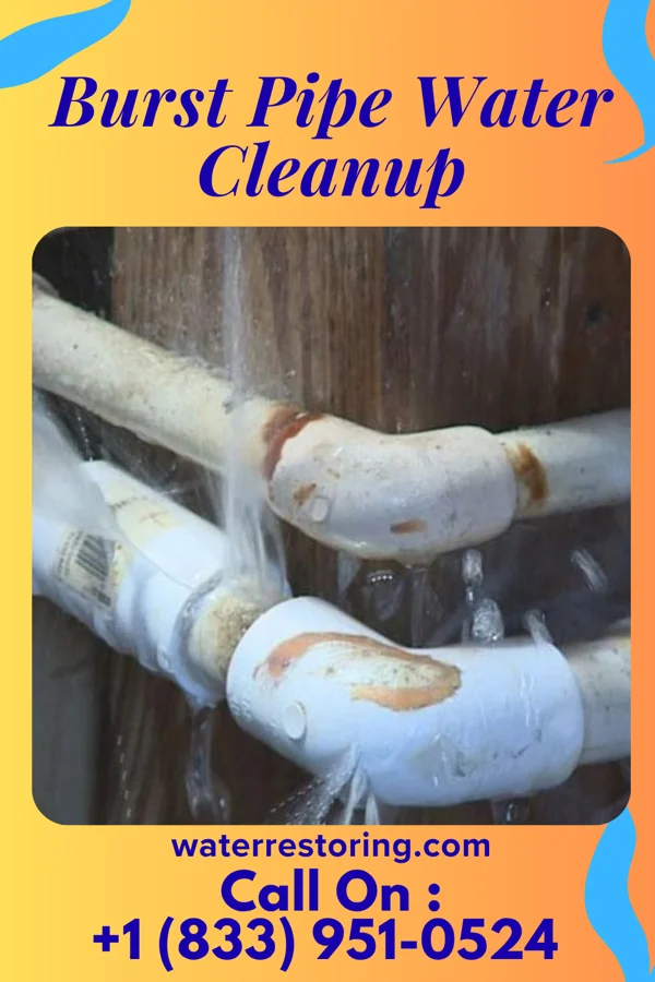 Burst Pipe Water Cleanup in Mauna Loa Estates, HI
