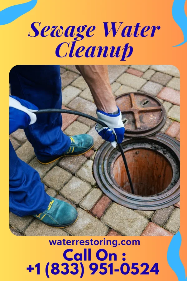 Sewage Water Cleanup in Mauna Loa Estates, HI