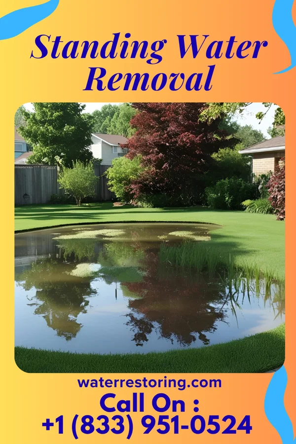Standing Water Removal in Mauna Loa Estates, HI